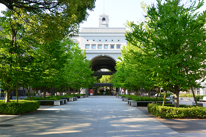 京都大学 Kyoto University