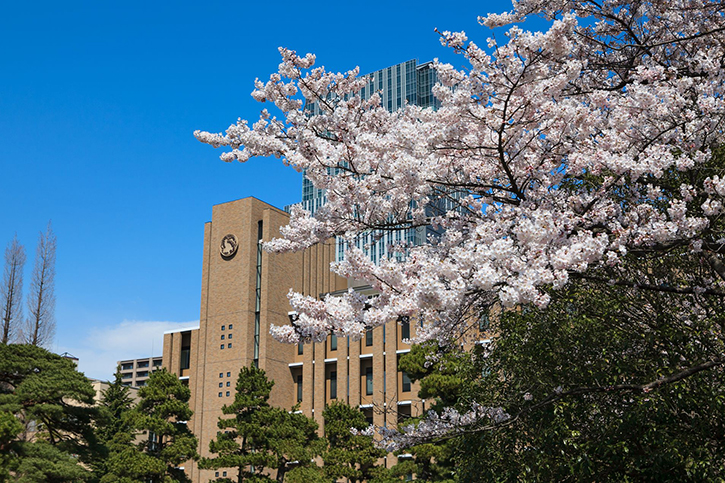 東北大学（Tohoku